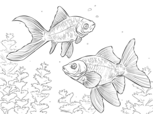 Disegno di pesce da stampare e colorare 176