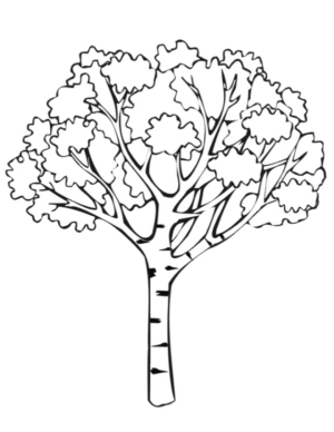 Disegno di albero da stampare e colorare 25