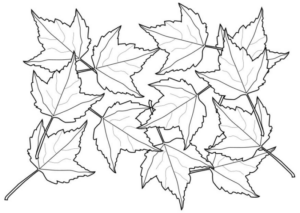 Disegno di foglia da stampare e colorare 154