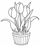 Disegni di Fiori da colorare