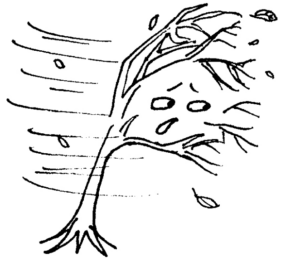 Disegno di albero da stampare e colorare 66