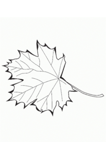 Disegno di foglia da stampare e colorare 99