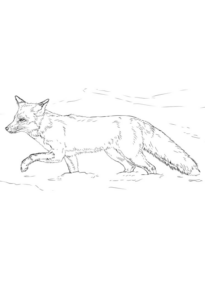 Disegno di volpe da stampare e colorare 52
