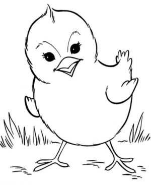Disegno di pulcino da stampare e colorare 27