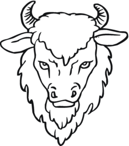 Disegno di bisonte da stampare e colorare 9