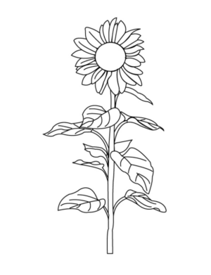 Disegno di fiore da stampare e colorare 147