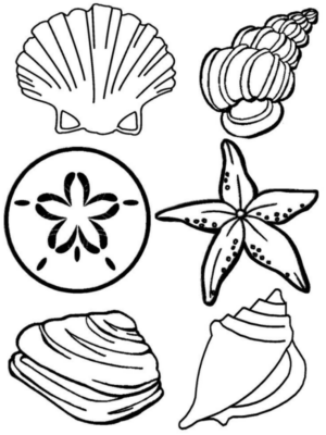 Disegno di stella marina da stampare e colorare 4