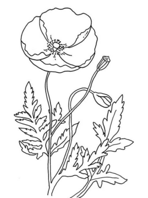 Disegno di fiore da stampare e colorare 287