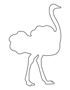 Disegno di struzzo da stampare e colorare 3