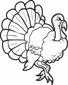 Disegno di tacchino da stampare e colorare 95