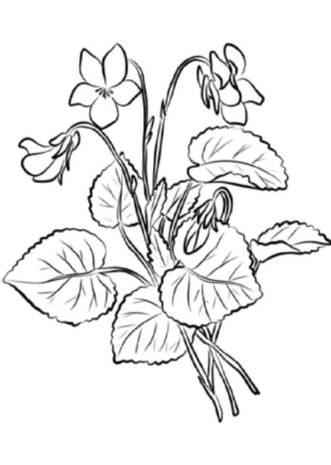 Disegno di fiore da stampare e colorare 270