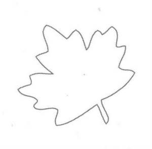 Disegno di foglia da stampare e colorare 117
