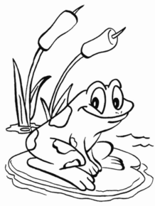 Disegno di rana da stampare e colorare 5