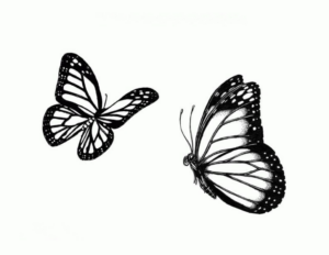 Disegno di farfalla da stampare e colorare 14