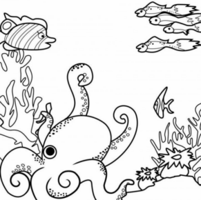 Disegno di polpo da stampare e colorare 42