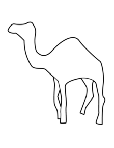 Disegno di dromedario da stampare e colorare 32