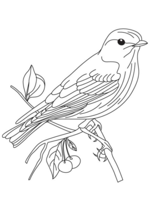 Disegno di passero da stampare e colorare 68