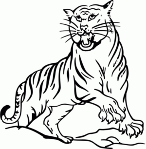 Disegno di tigre da stampare e colorare 32
