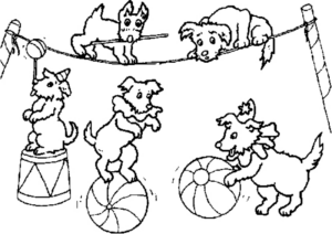 Disegno di circense da stampare e colorare 14