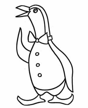 Disegno di pinguino da stampare e colorare 62