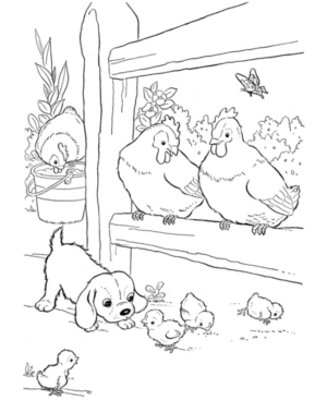 Disegno di gallina da stampare e colorare