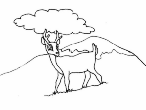 Disegno di cervo da stampare e colorare 55