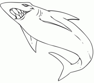 Disegno di squalo da stampare e colorare 37