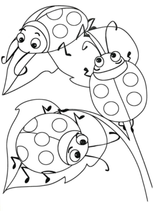 Disegno di coccinella da stampare e colorare 41