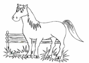 Disegno di cavallo da stampare e colorare 219