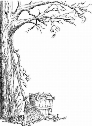 Disegno di albero da stampare e colorare 53