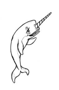 Disegno di narvalo da stampare e colorare 4