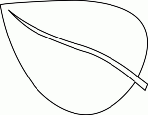 Disegno di foglia da stampare e colorare 91