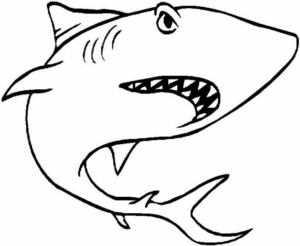Disegno di squalo da stampare e colorare 72
