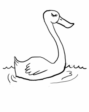 Disegno di cigno da stampare e colorare 24