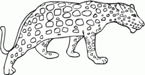 Disegno di leopardo da stampare e colorare 21