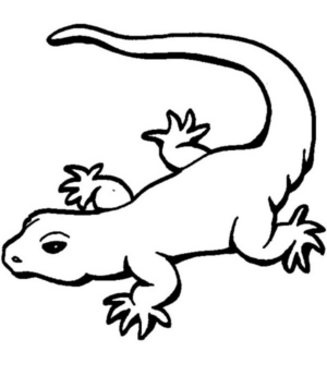 Disegno di iguana da stampare e colorare 16