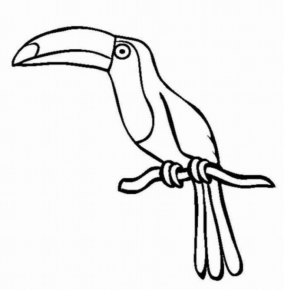 Disegno di tucano da stampare e colorare 19