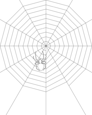 Disegno di ragno da stampare e colorare 70