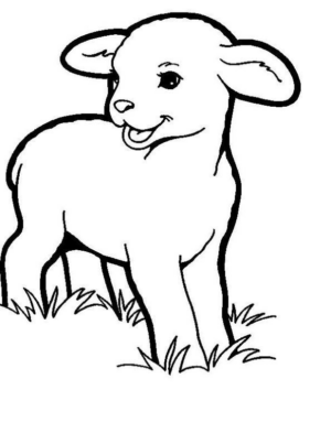 Disegno di pecora da stampare e colorare 52