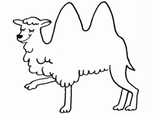 Disegno di cammello da stampare e colorare 5
