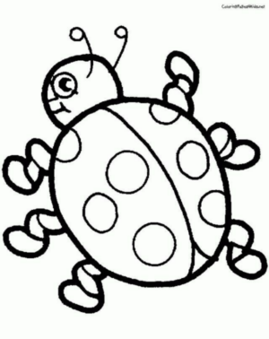 Disegno di coccinella da stampare e colorare 64