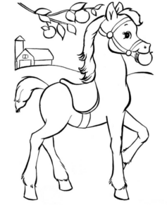 Disegno di cavallo da stampare e colorare 192