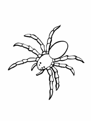 Disegno di ragno da stampare e colorare 5
