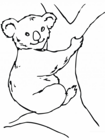 Disegno di koala da stampare e colorare 25