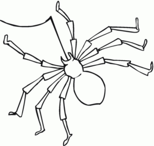 Disegno di ragno da stampare e colorare 60
