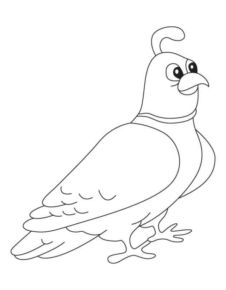 Disegno di uccello da stampare e colorare 39