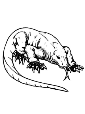 Disegno di iguana da stampare e colorare 6