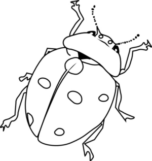 Disegno di coccinella da stampare e colorare 38