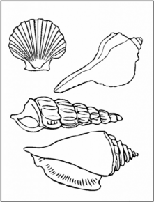 Disegno di conchiglia da stampare e colorare 12