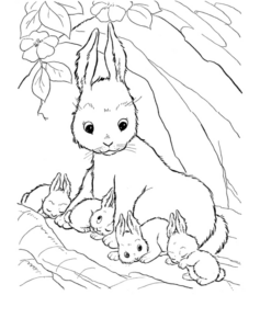 Disegno di coniglio da stampare e colorare 101